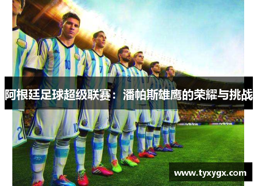 阿根廷足球超级联赛：潘帕斯雄鹰的荣耀与挑战