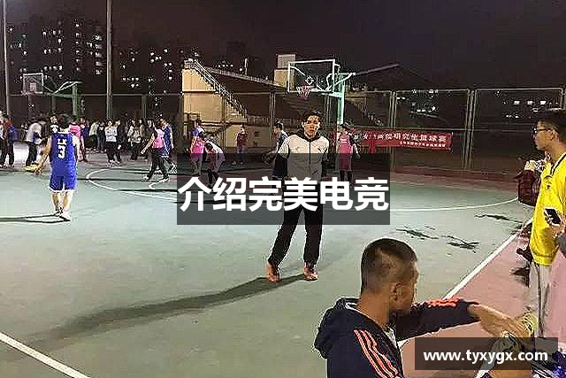 介绍完美电竞
